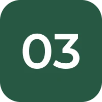 Number three on dark green background