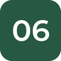 Number six on green background